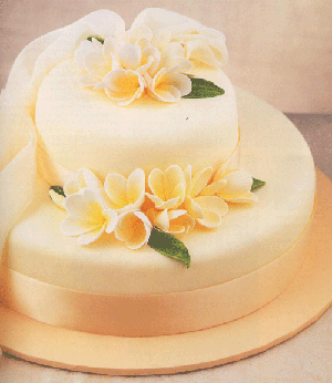 Cake courtesy of "The Essential Guide to Cake Decorating."  Murdoch Books, 2001.
